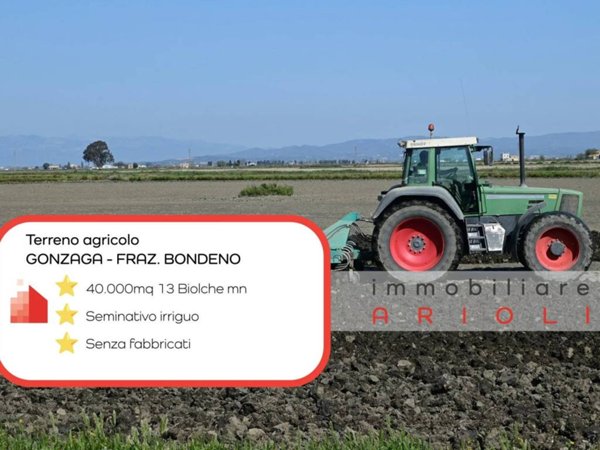 terreno agricolo in vendita a Gonzaga