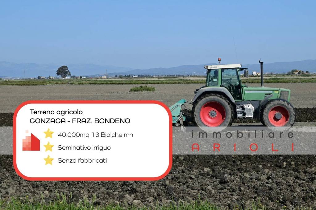 terreno agricolo in vendita a Gonzaga