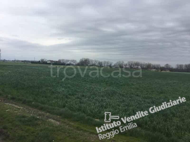 terreno agricolo in vendita a Gonzaga