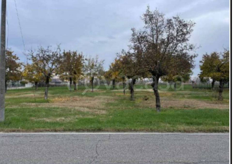 appartamento in vendita a Gonzaga