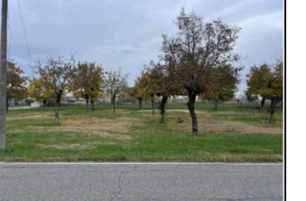 appartamento in vendita a Gonzaga