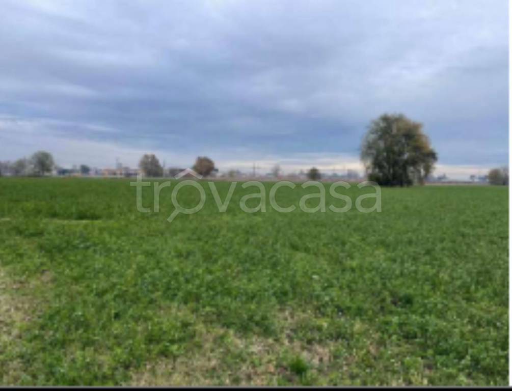 terreno agricolo in vendita a Gonzaga
