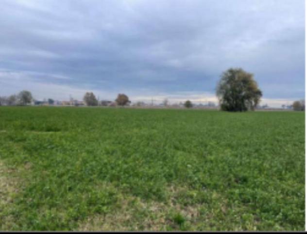 terreno agricolo in vendita a Gonzaga