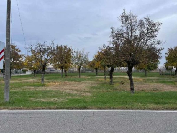 terreno agricolo in vendita a Gonzaga