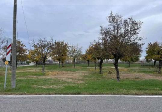 terreno agricolo in vendita a Gonzaga
