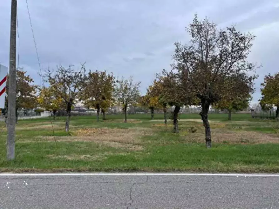 terreno agricolo in vendita a Gonzaga