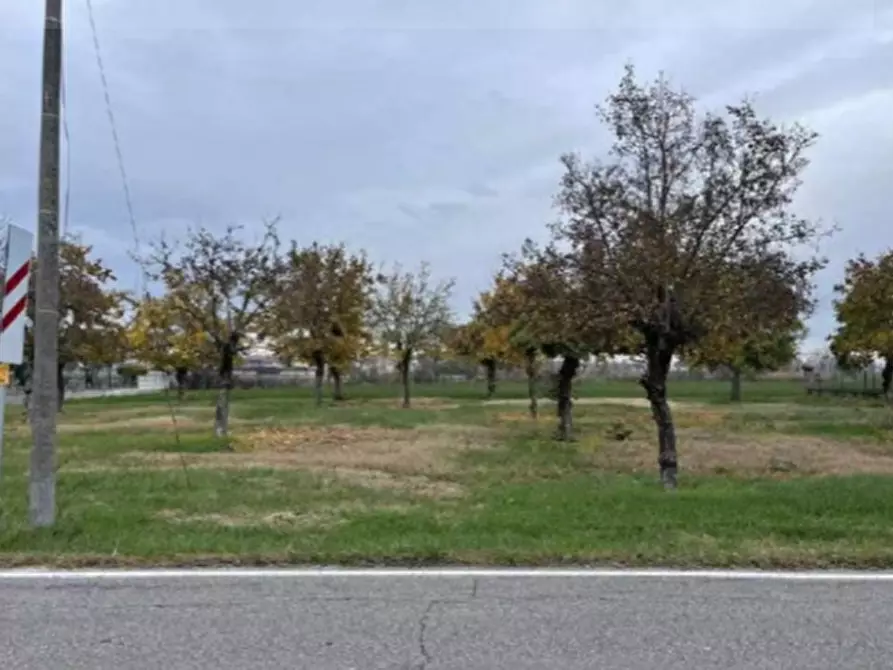 terreno agricolo in vendita a Gonzaga