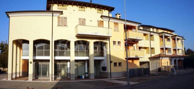 appartamento in vendita a Gonzaga