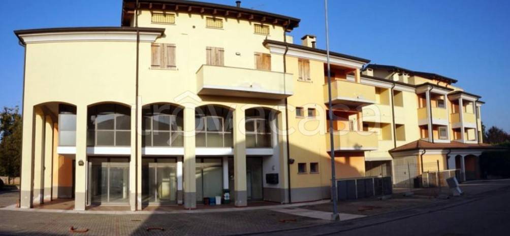 appartamento in vendita a Gonzaga