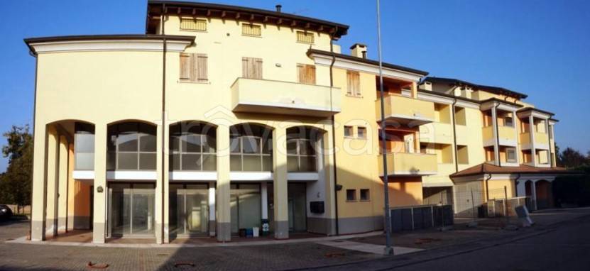 appartamento in vendita a Gonzaga