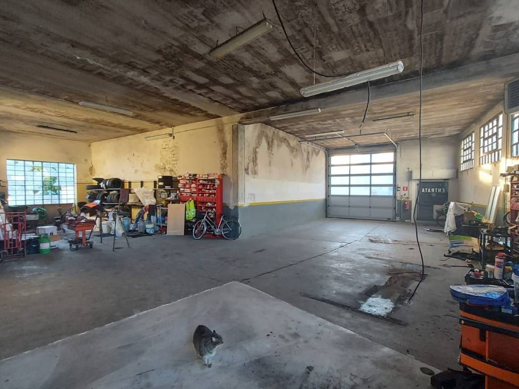 locale commerciale in vendita a Gonzaga