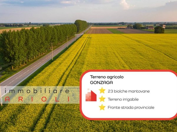 terreno agricolo in vendita a Gonzaga