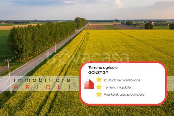 ufficio in vendita a Gonzaga