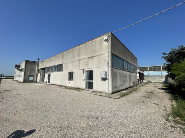 negozio in vendita a Gonzaga