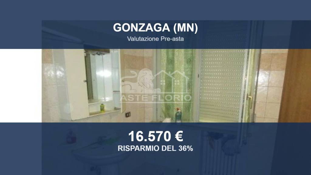 appartamento in vendita a Gonzaga