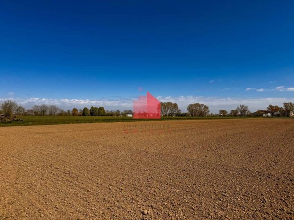 terreno agricolo in vendita a Gonzaga
