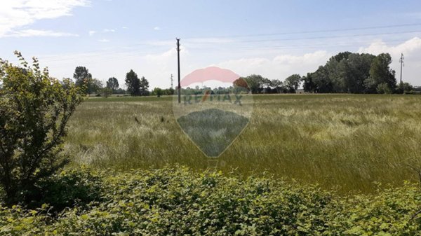 terreno agricolo in vendita a Guidizzolo