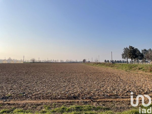 terreno agricolo in vendita a Guidizzolo