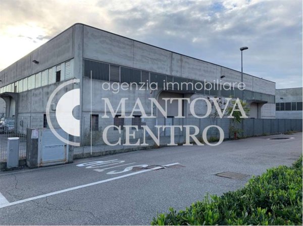 locale commerciale in vendita a Guidizzolo
