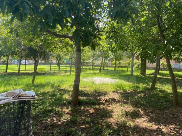 casa indipendente in vendita a Guidizzolo