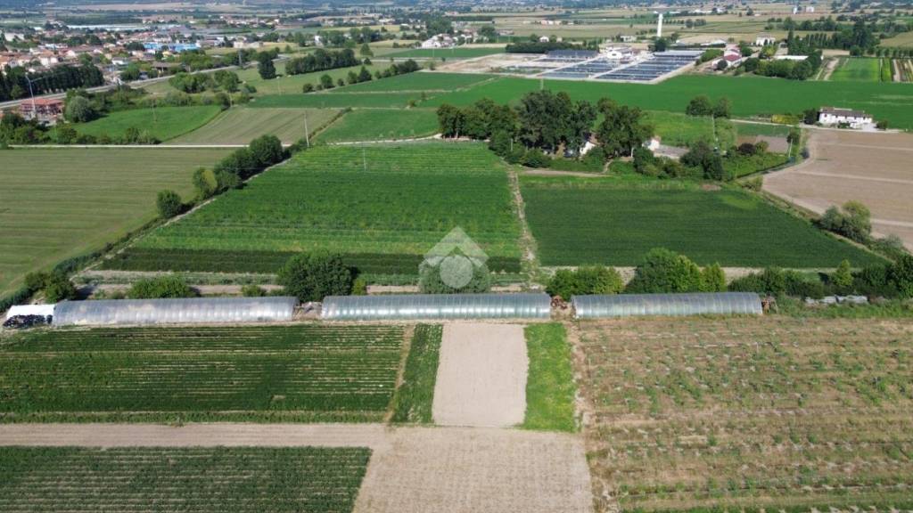 terreno agricolo in vendita a Guidizzolo in zona Birbesi