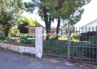 negozio in vendita a Mantova in zona Gambarana