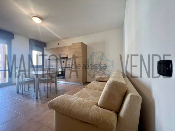 appartamento in vendita a Mantova