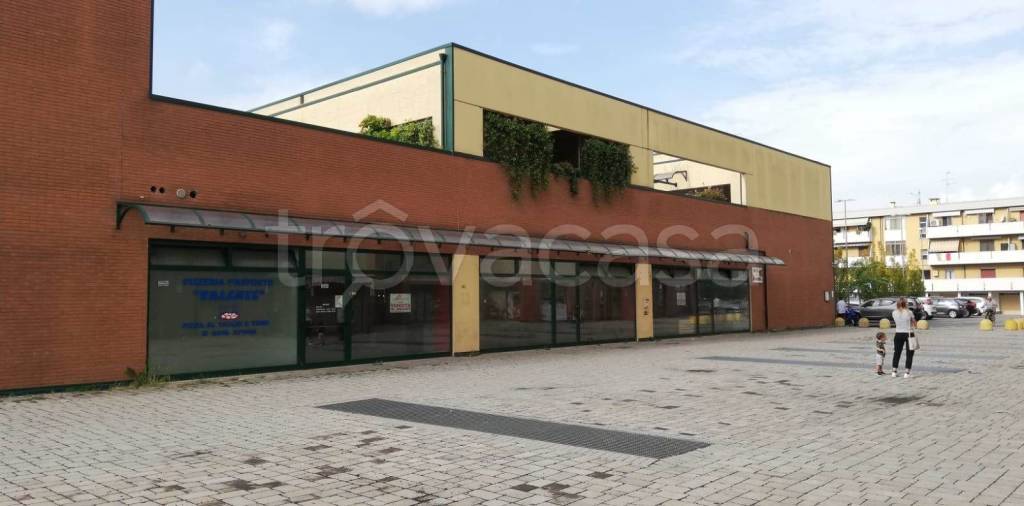 trivano in vendita a Mantova in zona Lunetta-Frassino