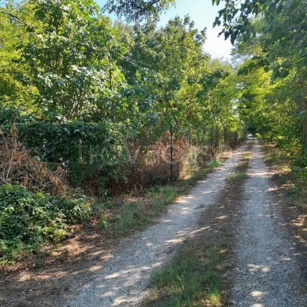 terreno agricolo in vendita a Mantova in zona Lunetta-Frassino