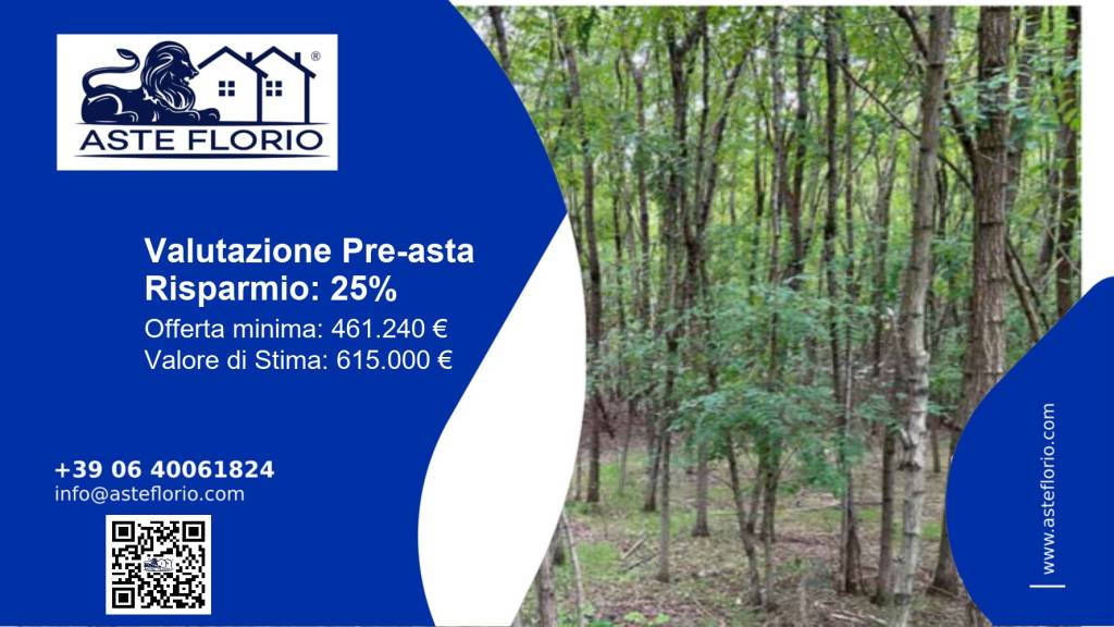 terreno agricolo in vendita a Mantova in zona Cittadella