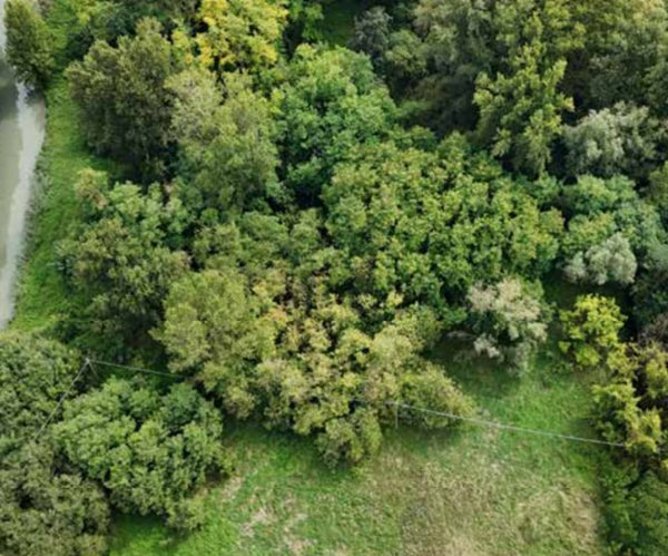 terreno edificabile in vendita a Mantova in zona Cittadella