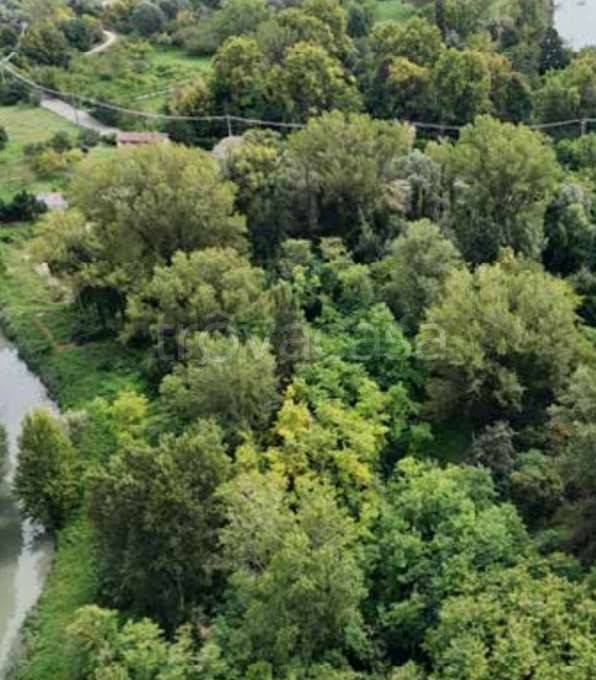 appartamento in vendita a Mantova in zona Cittadella