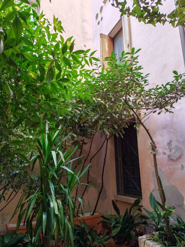 appartamento in vendita a Mantova in zona Centro Storico