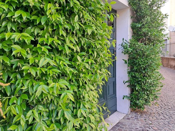 appartamento in vendita a Mantova in zona Centro Storico