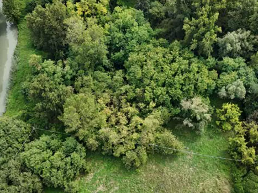 terreno edificabile in vendita a Mantova in zona Cittadella