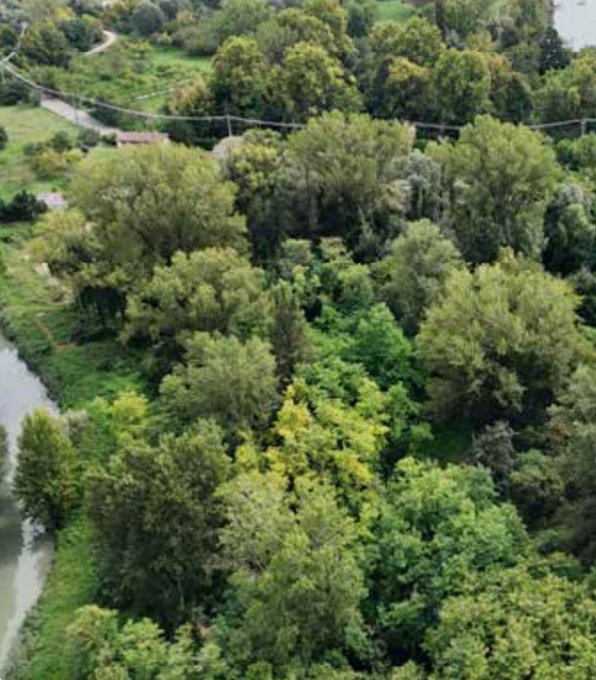 terreno edificabile in vendita a Mantova in zona Cittadella