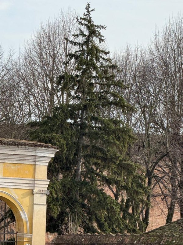 appartamento in vendita a Mantova