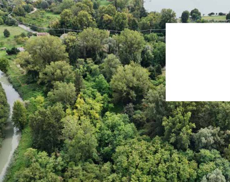 ufficio in vendita a Mantova in zona Cittadella