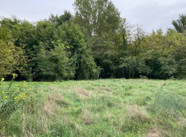 terreno edificabile in vendita a Mantova