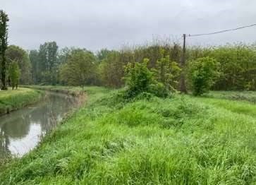 appartamento in vendita a Mantova in zona Cittadella