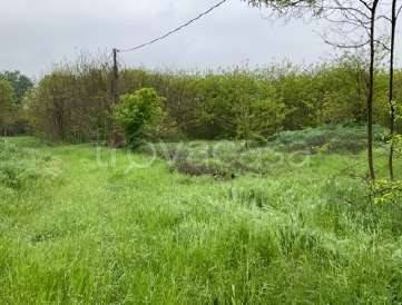 appartamento in vendita a Mantova in zona Cittadella