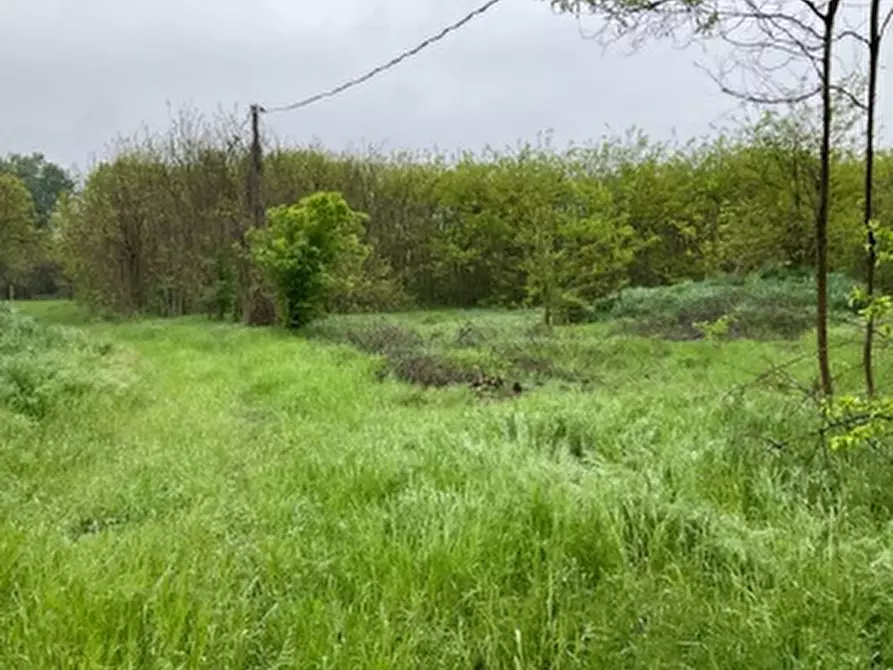 terreno edificabile in vendita a Mantova in zona Cittadella