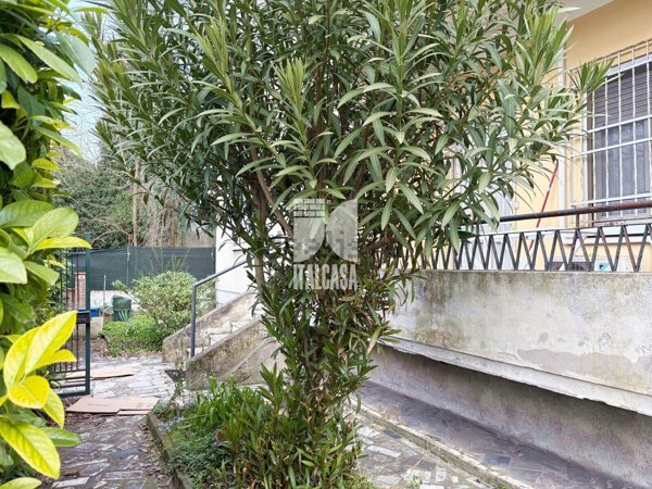 appartamento in vendita a Mantova in zona Cittadella