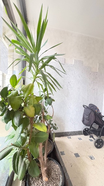 appartamento in vendita a Mantova in zona Centro Storico