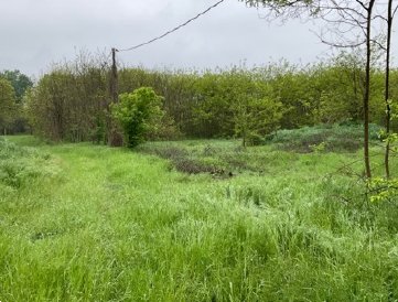 terreno edificabile in vendita a Mantova in zona Cittadella