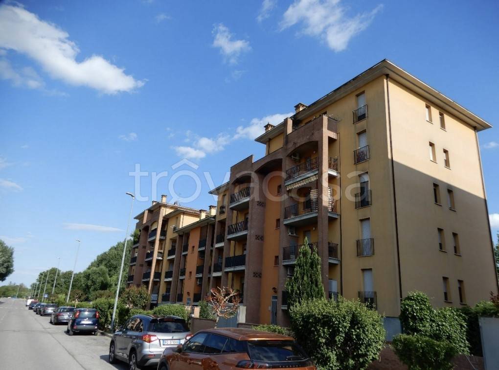 appartamento in vendita a Mantova in zona Cittadella