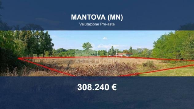 terreno agricolo in vendita a Mantova in zona Lunetta-Frassino