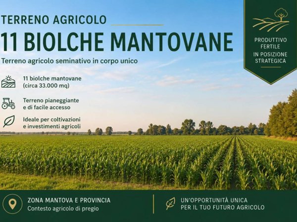 terreno agricolo in vendita a Mantova in zona Chiesanuova