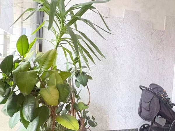 appartamento in vendita a Mantova in zona Centro Storico