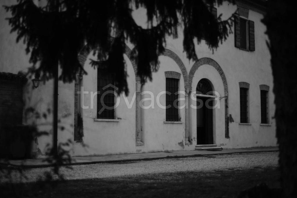immagine annuncio 0 di 15